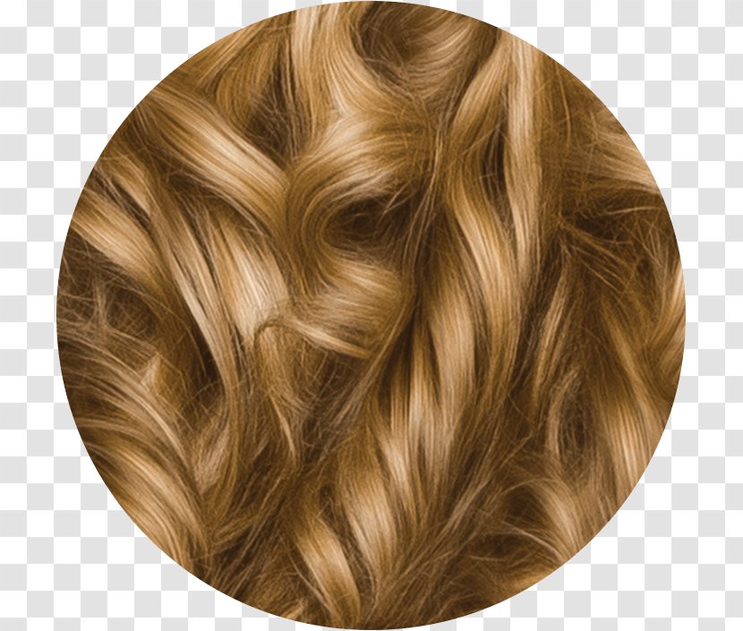 Blond Hair Coloring Herbal Essences Brown - Human Color Transparent PNG