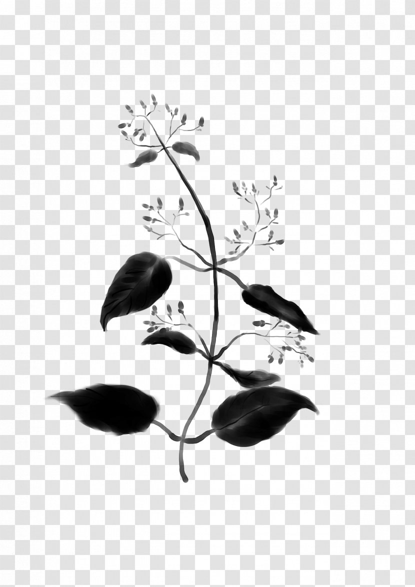 Twig Black & White - Plant Stem - M Leaf Font Transparent PNG
