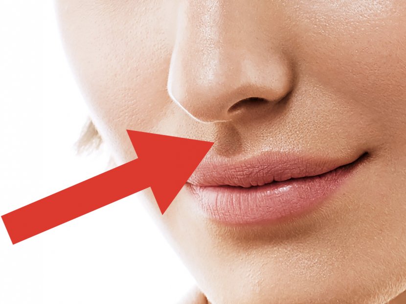 Nose Lip Mouth Face Philtrum - Beauty Transparent PNG