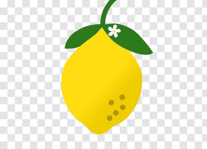 Clip Art Lemon Illustration Image Rutaceae - Orange Blossom Transparent PNG