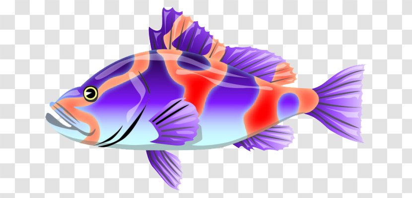 Animal Planet Strange, Unusual, Gross & Cool Animals Adobe Illustrator Clip Art - Coral Reef Fish - A Colorful Transparent PNG