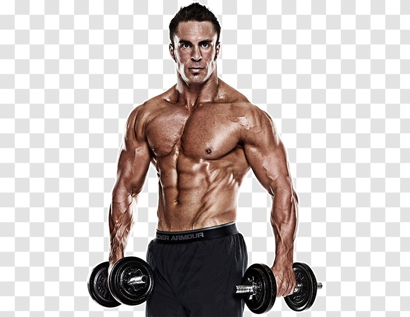 Weight Training Shoulder - Cartoon - Muscle Fitness Transparent PNG
