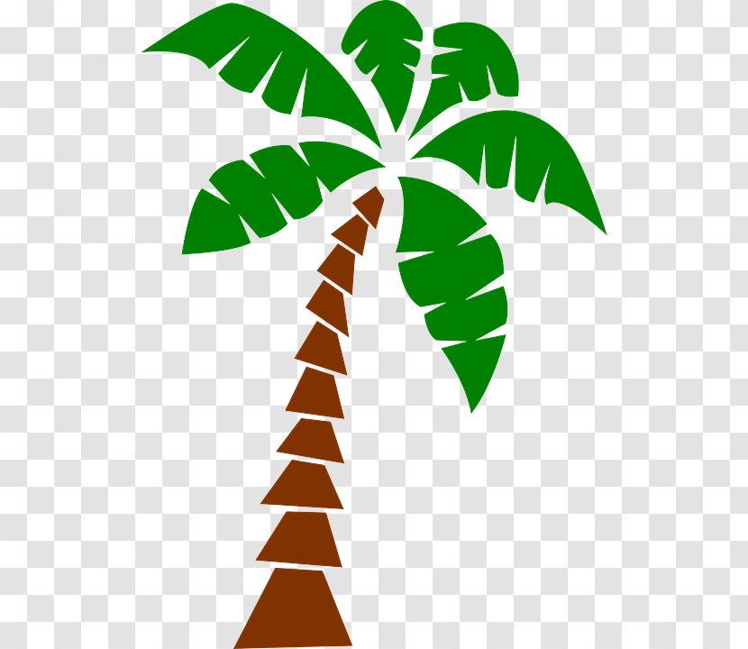 Palm Tree - Arecales Woody Plant Transparent PNG