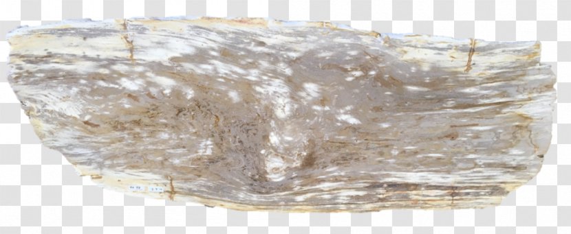 Mineral Petrified Wood Petrifaction Rock - Fireplace Mantel - Slab Transparent PNG