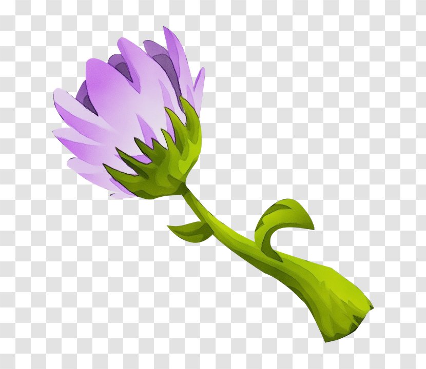 Purple Watercolor Flower - Wildflower - Aster Transparent PNG