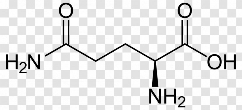 Dietary Supplement Glutamine Ornithine Amino Acid Arginine - Symbol - Logo Transparent PNG