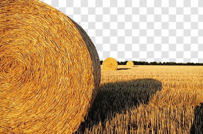 Hay Straw Field Agriculture Harvest - Rural Area Grass Transparent PNG