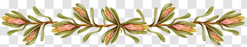Floral Design - Flower Edge Transparent PNG