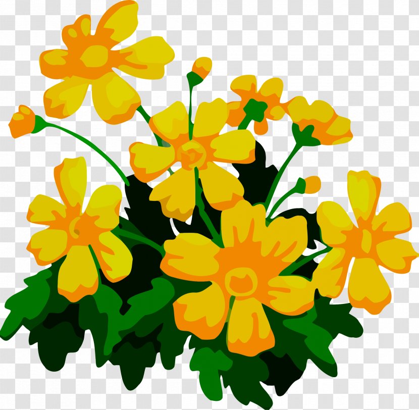 Flower Floral Design Clip Art - Petal - Plant Transparent PNG