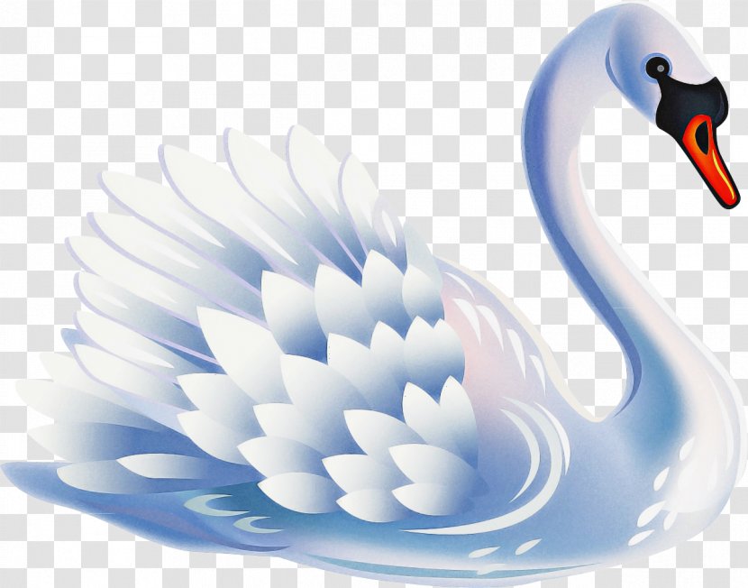 Water Background - Bird - Black Swan Goose Transparent PNG