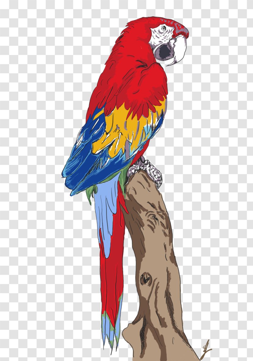 Macaw Parrot Beak Feather Transparent PNG
