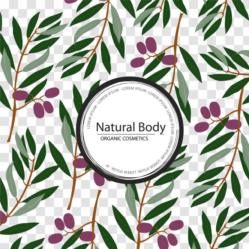 Olive Leaf Branch Euclidean Vector - Leaves And Decorative Background Transparent PNG