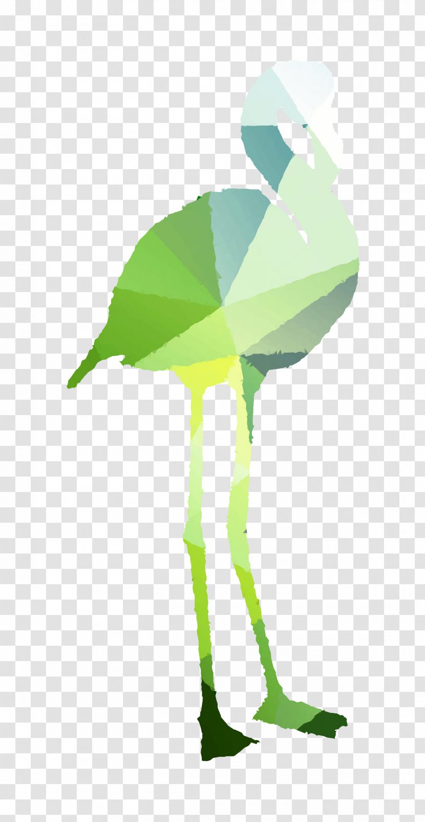 Cygnini Beak Goose Illustration Duck - Plant - Green Transparent PNG