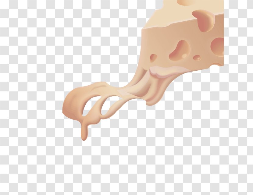 Nose Skin Joint Ear Arm - Bone - Dairy Transparent PNG