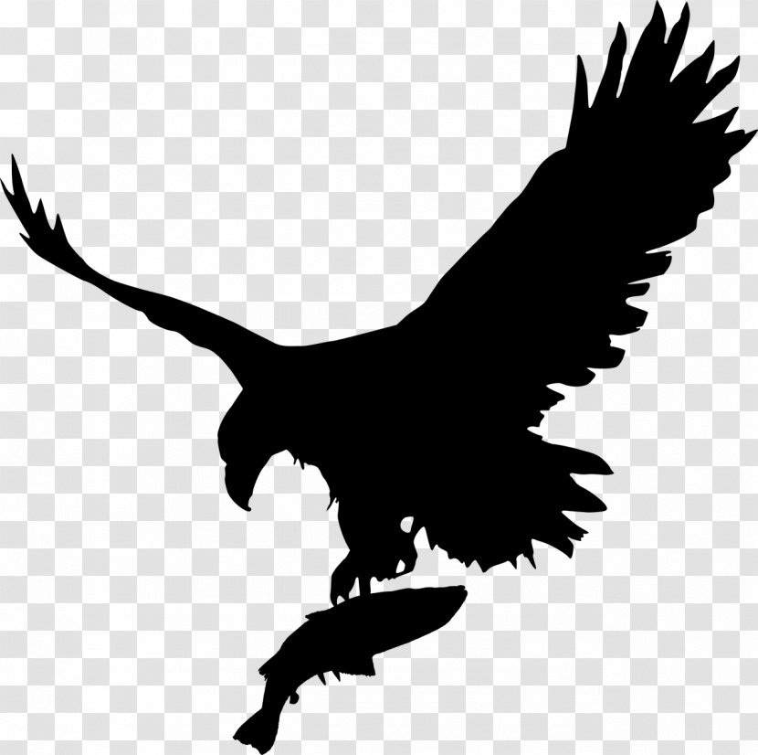 Bald Eagle Vector Graphics Royalty-free Illustration - Bird - Fourth Of July Dxf Transparent PNG