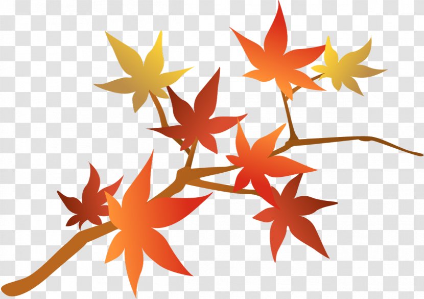 Maple Leaf Clip Art Line - Big 10 Gymnastics Transparent PNG