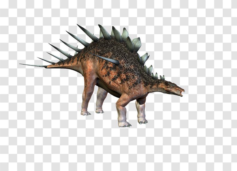 Tyrannosaurus Ankylosaurus Minmi Dinosaur Allosaurus - Fauna - Dinosaurs Transparent PNG