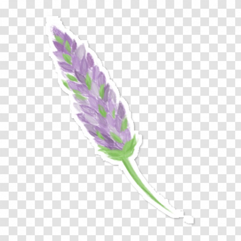 English Lavender Lilac Drawing Violet - Pastel Watercolor Flowers Transparent PNG