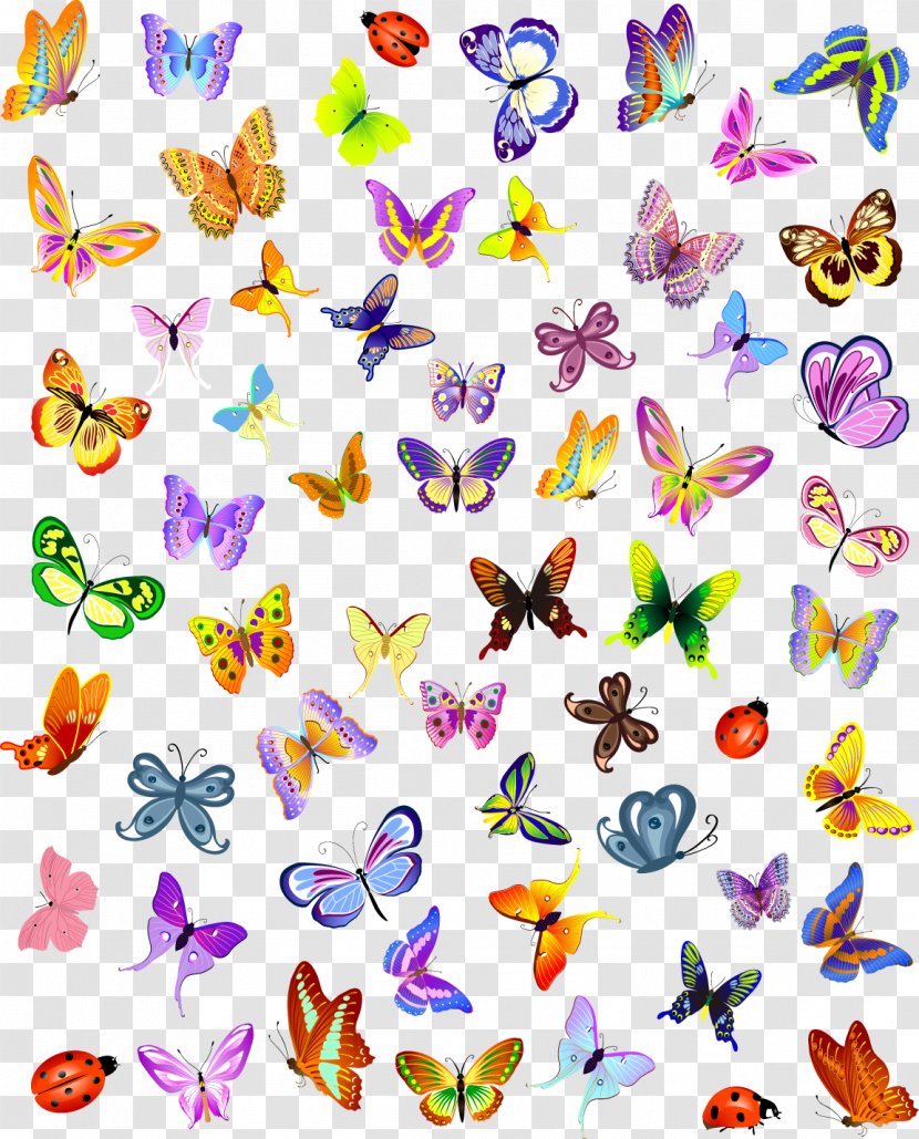 Butterfly Insect Royalty-free Illustration - Point - Vector Colorful Transparent PNG