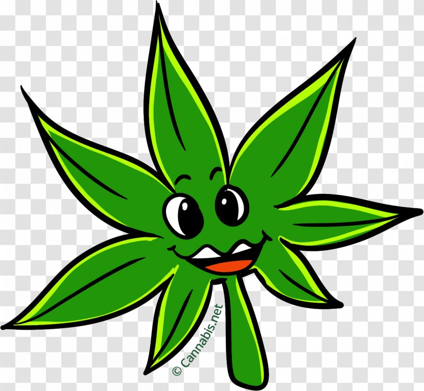 Kush Leaf Cannabis Tetrahydrocannabinol Clip Art - Flower Transparent PNG