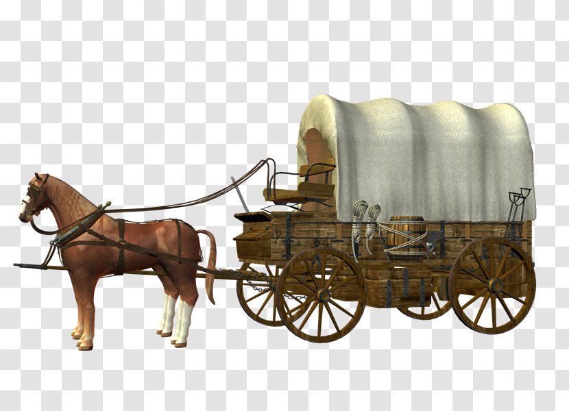 Horse-drawn Vehicle Carriage Cart Wagon - Horse Like Mammal - 1980 Transparent PNG