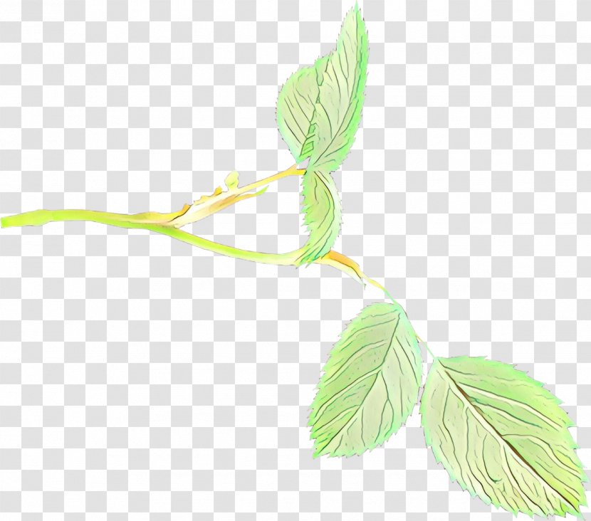 Leaf Plant Flower Tree Twig - Flowering Stem Transparent PNG