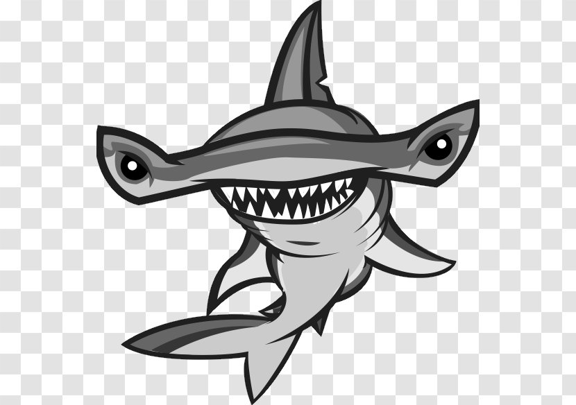 Hammerhead Shark Vector Graphics Stock Photography Illustration Transparent PNG