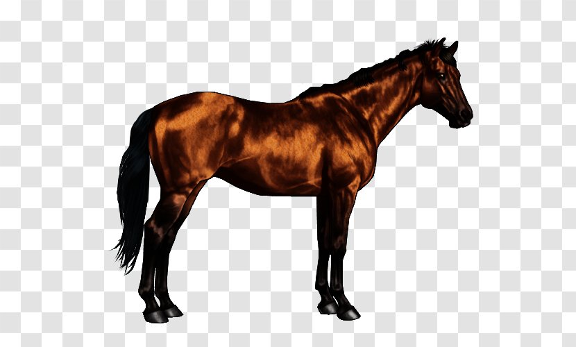 Oldenburg Horse Thoroughbred Stallion Lipizzan Hanoverian - Dark Transparent PNG