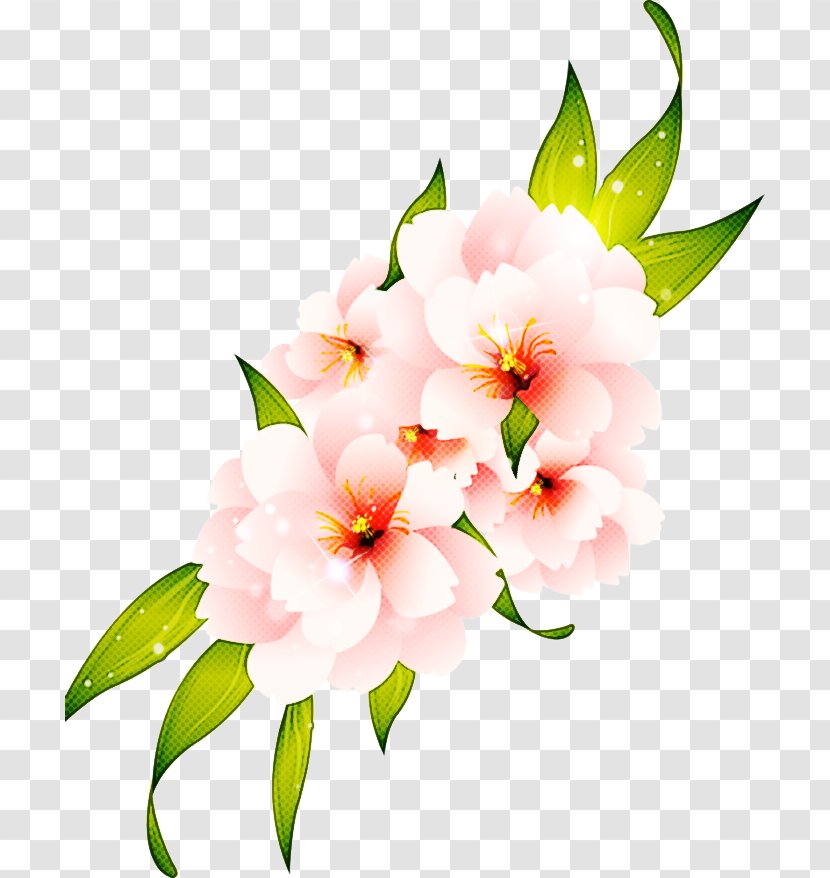 Flower Flowering Plant Petal Pink - Branch - Watercolor Paint Cut Flowers Transparent PNG