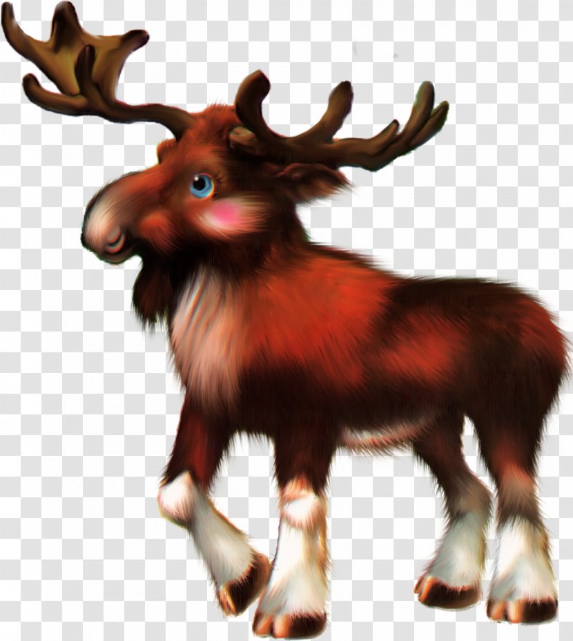 Reindeer Animal - Antler - Forest Transparent PNG