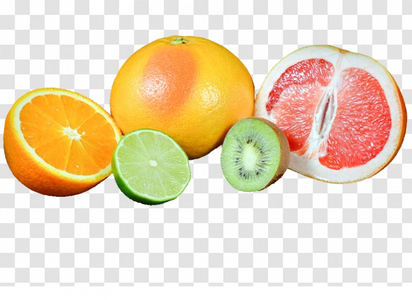 Grapefruit Lemon-lime Drink Orange - Citrus Transparent PNG