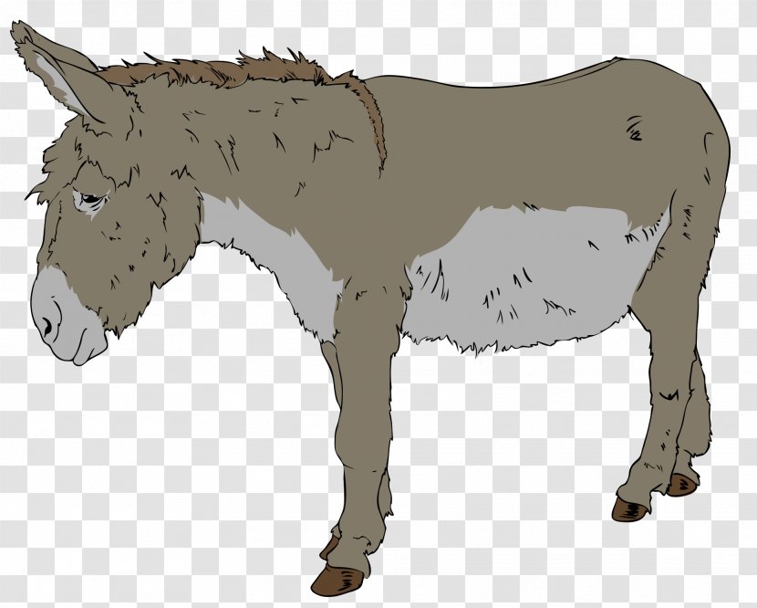 Benjamin Donkey Free Content Clip Art - Cliparts Transparent PNG