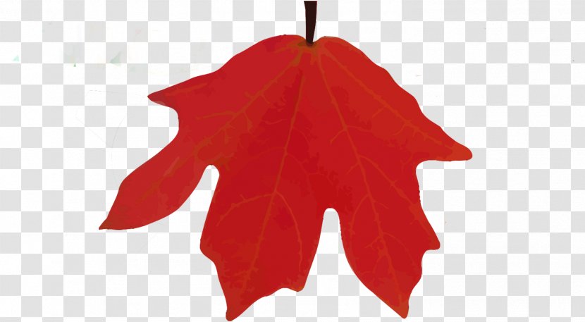 Lost Maples State Natural Area Maple Leaf Camping Christmas Ornament - Country Lane Campground Rv Park Transparent PNG