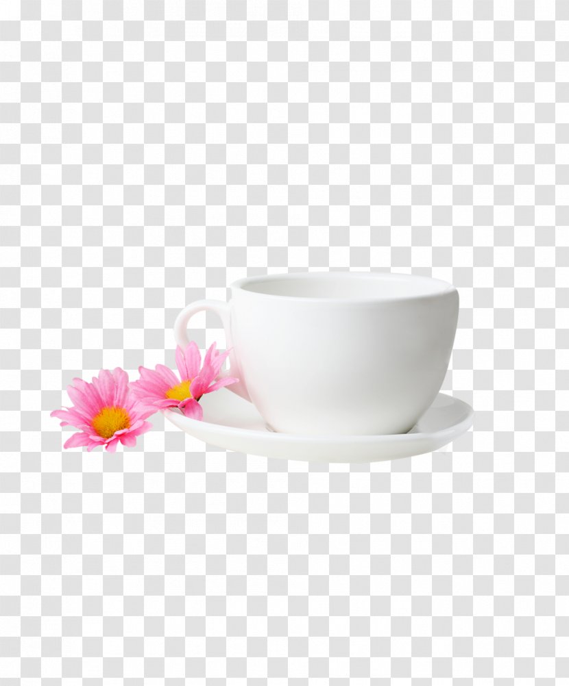 Coffee Cup Teacup - Ceramic - Mug Transparent PNG