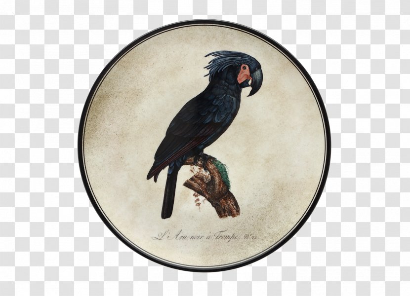 Doccia Porcelain Parrot Macaw Bird Transparent PNG