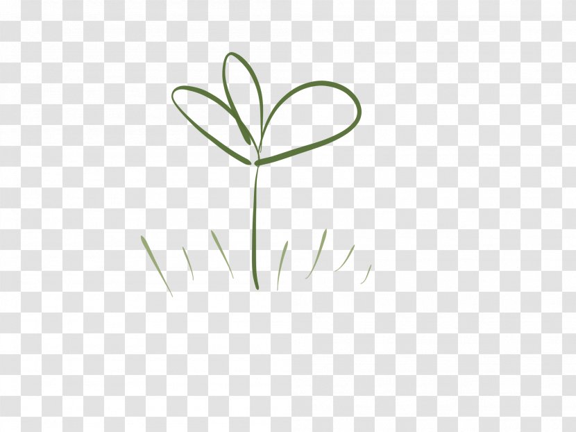 Logo Leaf Font Plant Stem Flower - Grass Transparent PNG