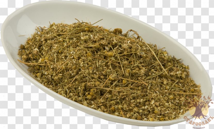 Elder Flower Dill Seed Fennel - Hyssop Transparent PNG