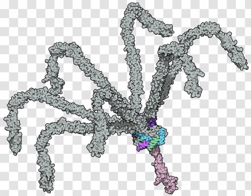 C4b-binding Protein Molecular Binding Domain - Fictional Character Transparent PNG