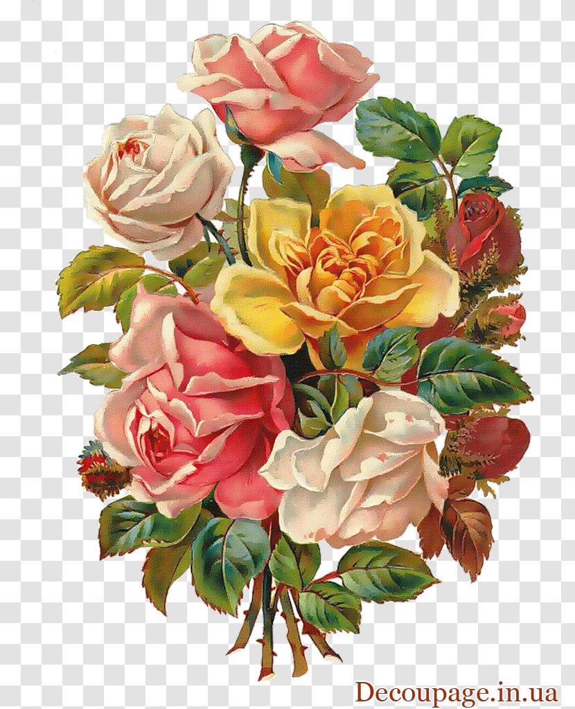 Flower Bouquet Rose Floral Design Clip Art - Cut Flowers - Vintage Transparent PNG