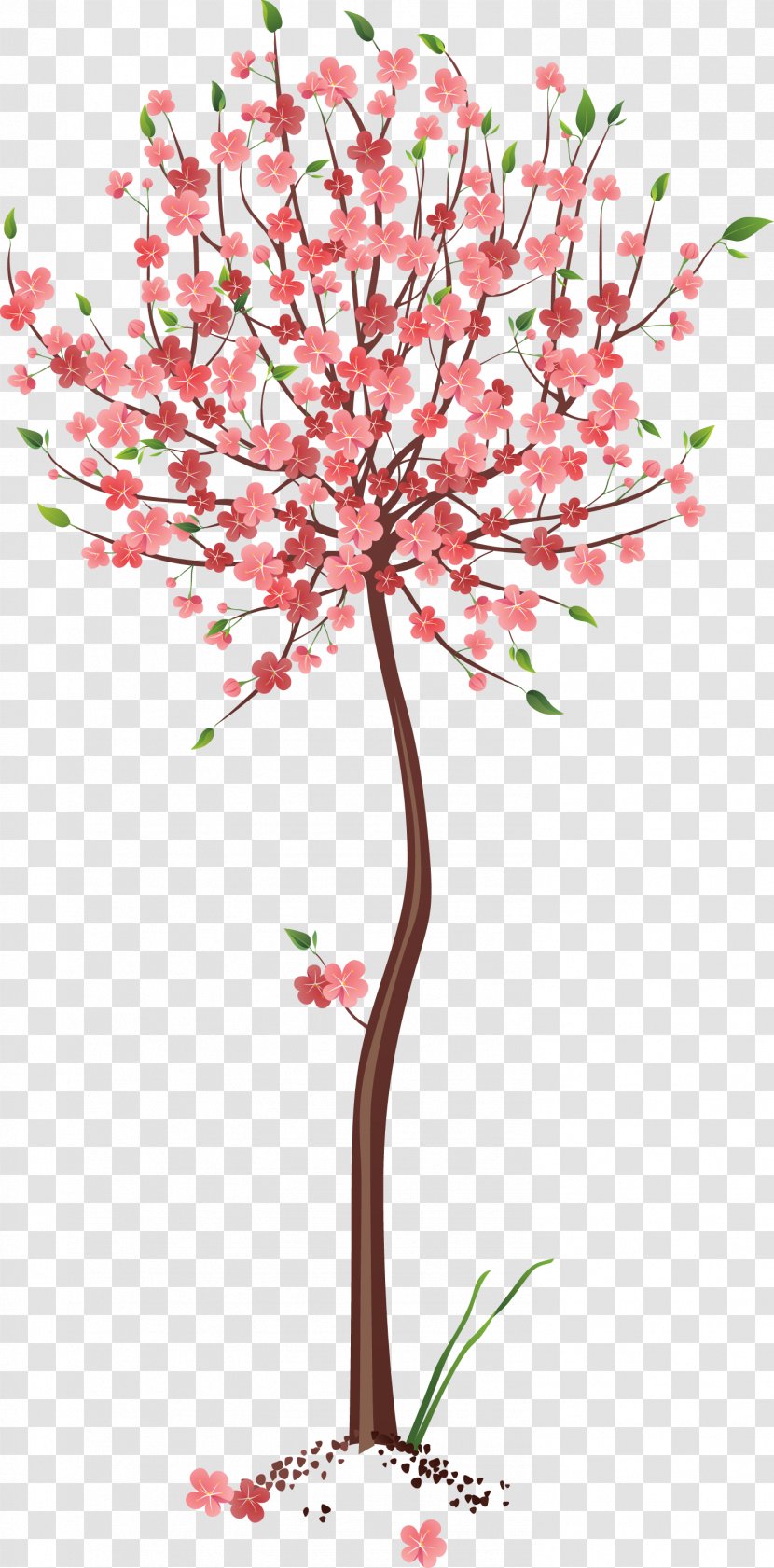 Clip Art Image Tree Drawing - Twig - Flower Transparent PNG