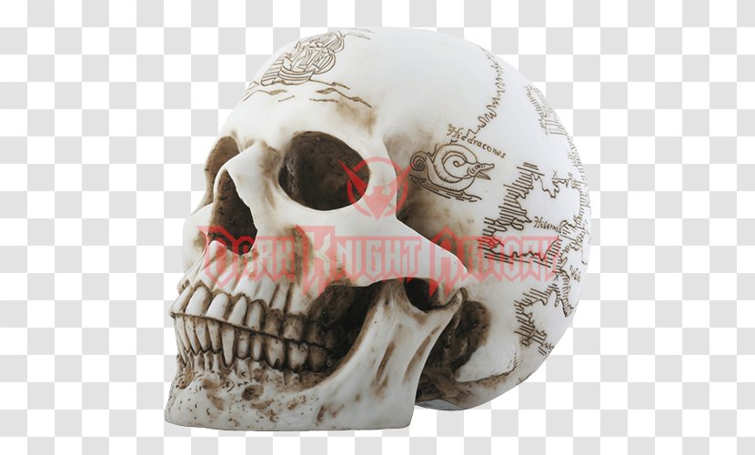 Treasure Map Skull Skeleton Transparent PNG