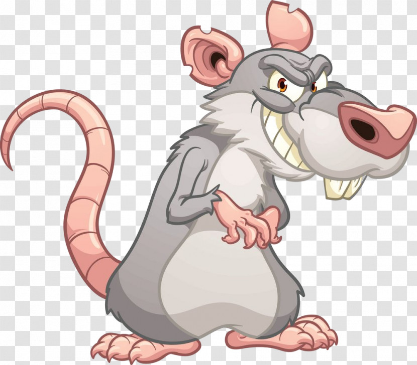Rat Cartoon Mouse Muridae Muroidea Transparent PNG