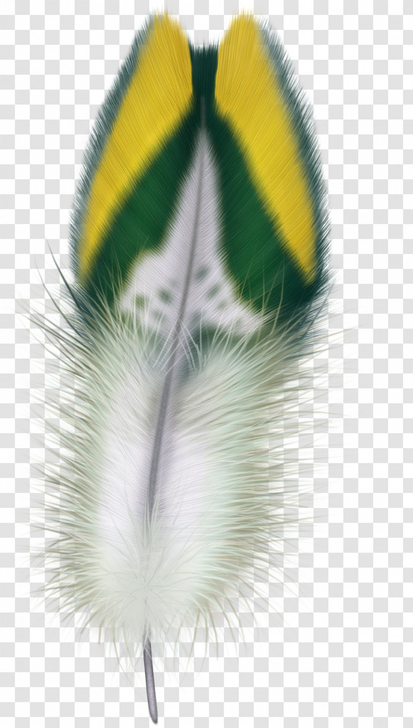 Feather Car Wing Beak Laptop Transparent PNG