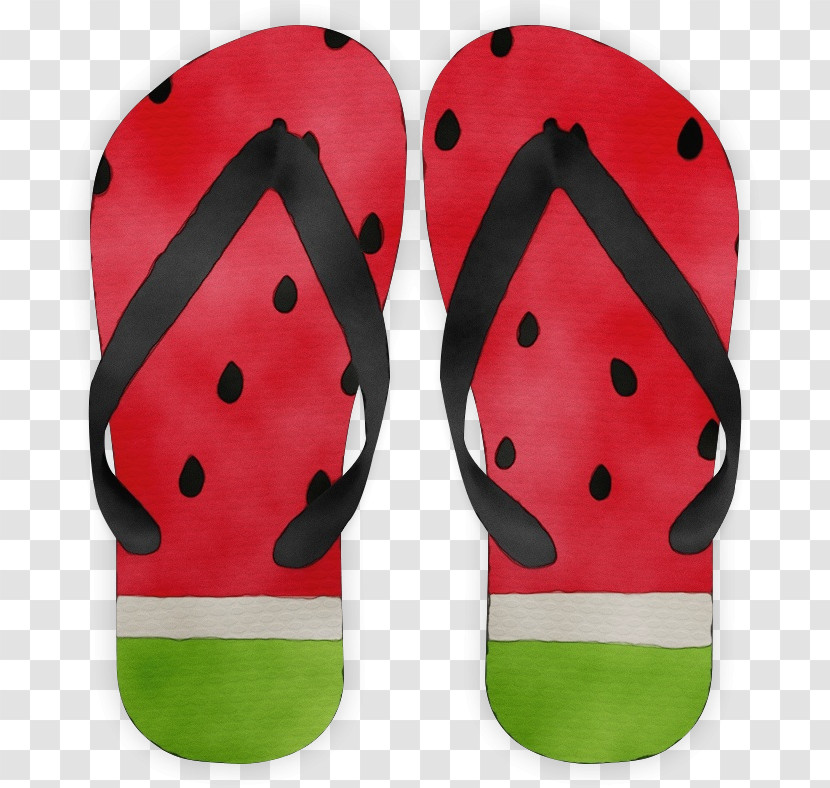 Flip-flops Havaianas Shoe Slipper Sandal Transparent PNG
