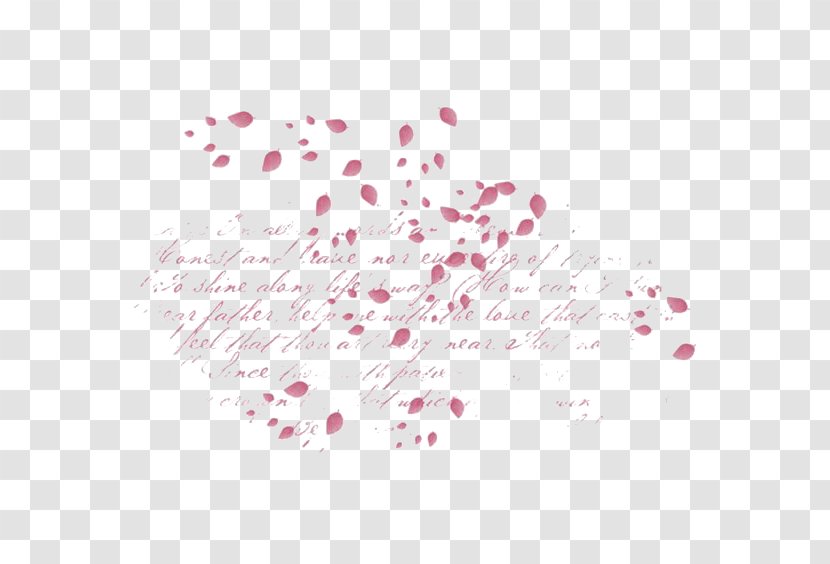 Petal Flower - Point - Falling Flowers Transparent PNG