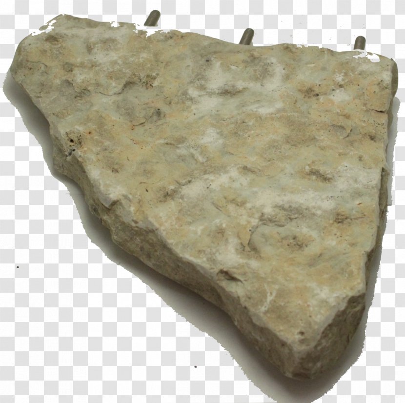 Bird Parrot - Geology - Artifact Limestone Transparent PNG