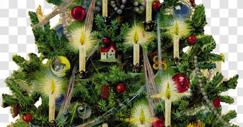 Santa Claus A Christmas Carol Ebenezer Scrooge Tree Transparent PNG