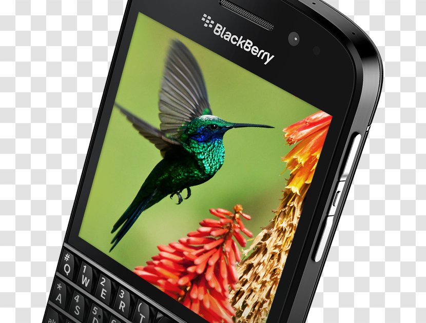 Smartphone BlackBerry Q10 Z10 Leap Curve - Blackberry 10 Transparent PNG