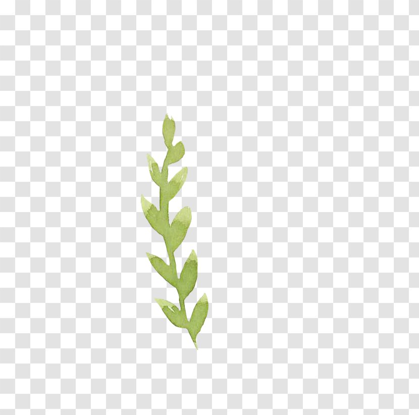 Green Leaf Drawing - Tree Transparent PNG
