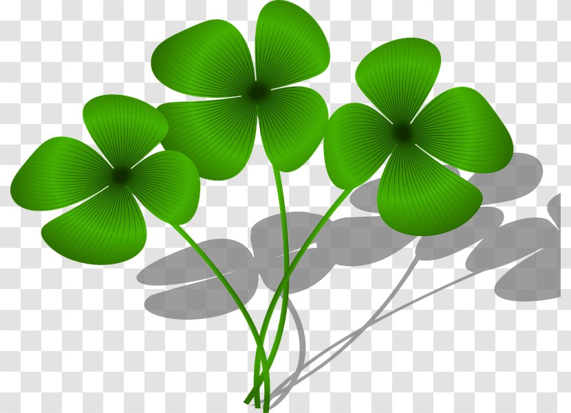 Four-leaf Clover Luck Image Clip Art - Saint Patrick Transparent PNG